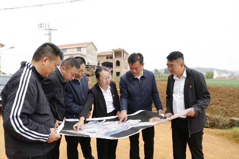 1人大代表视察乡村基础设施建设.jpg