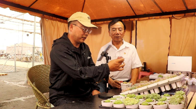 3人大代表直播带货.jpg