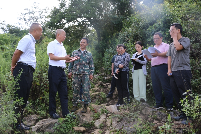 1蒙自市人大常委会视察组到水田乡防火通道建设建议点视察.jpg