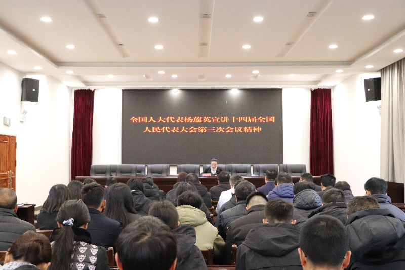 1全国人大代表杨莲英宣讲全国两会精神.jpg