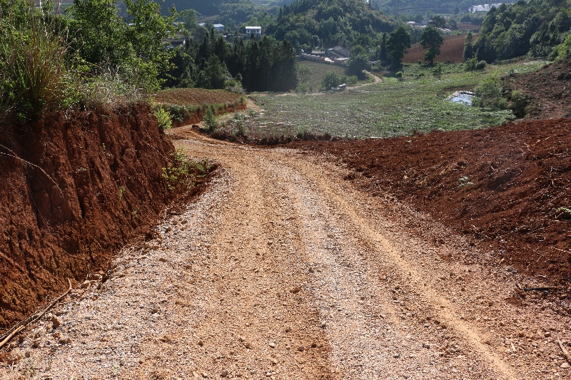 1老寨社区坝心村机耕道路修建.jpg