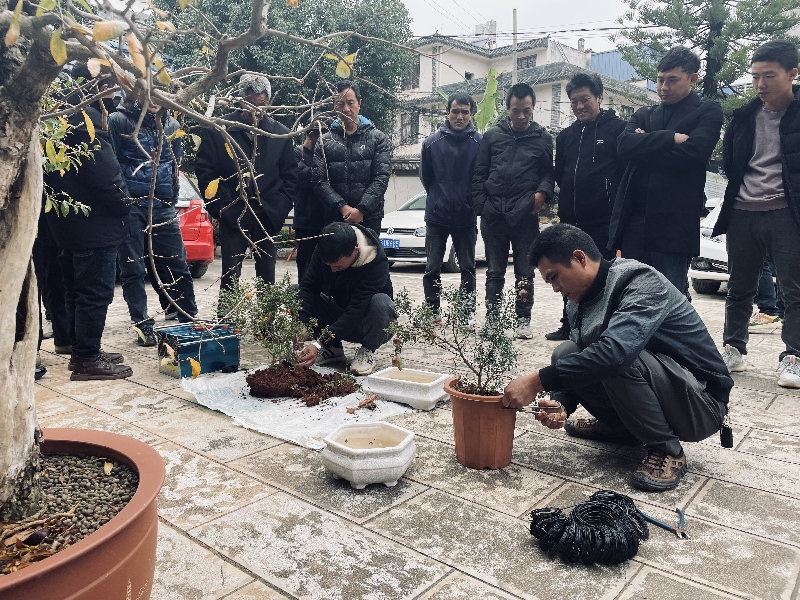 1开展石榴盆景产业技术培训.jpg