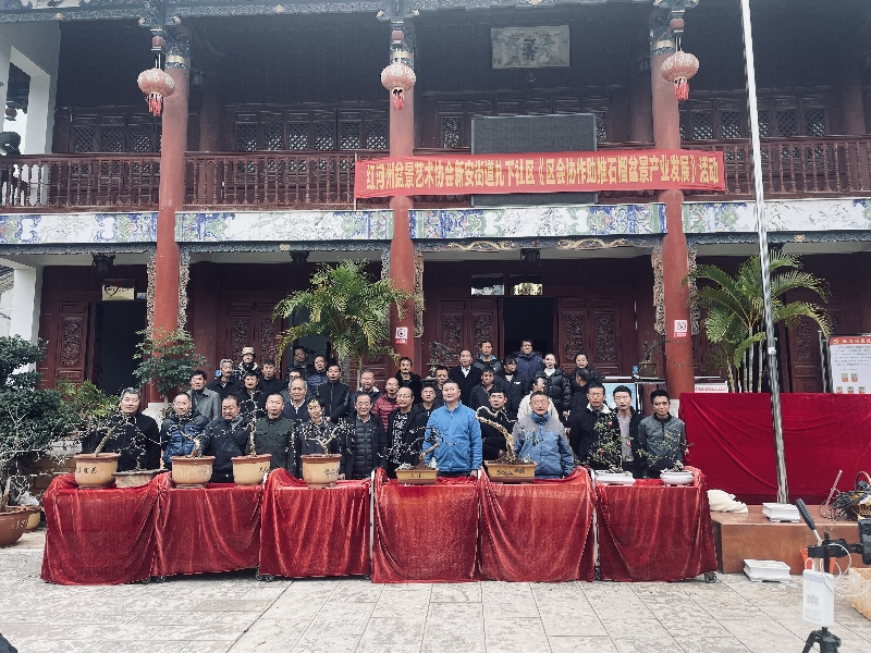 2新安所街道石榴盆景产业发展活动.jpg