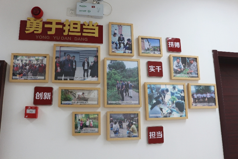 3人大代表履职风采展示1.jpg