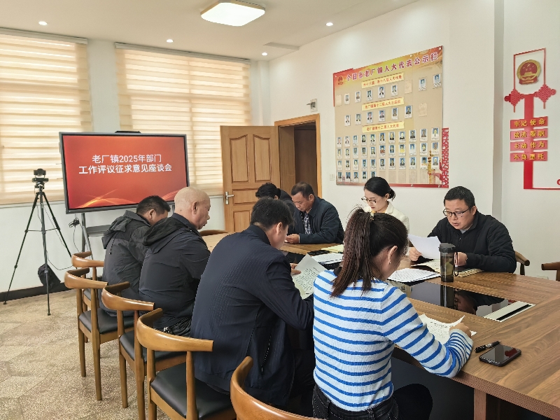 1老厂镇召开2025年部门工作评议征求意见座谈会.jpg