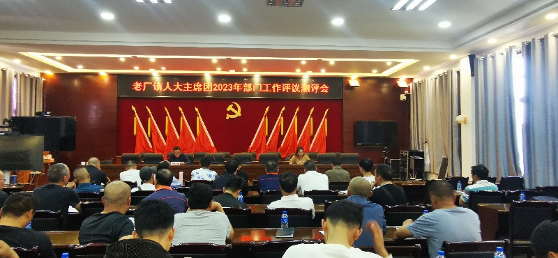 2老厂镇部门工作评议现场测评.jpg