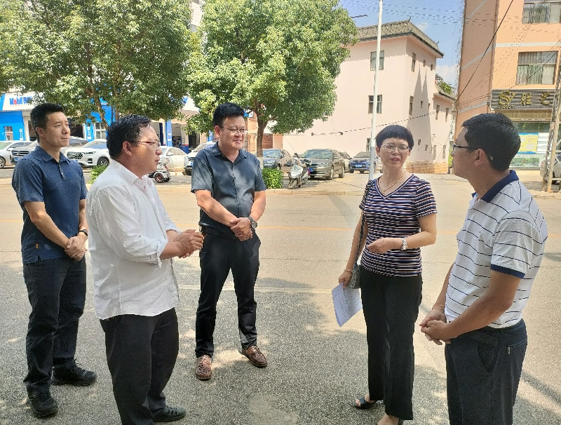2市人大常委会到弥阳街道督促人大代表建议办理.jpg