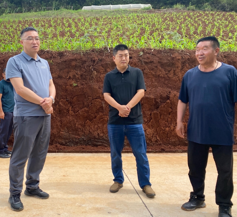 2人大代表到官厅镇谢租村委会现场查看建议办理情况.jpg
