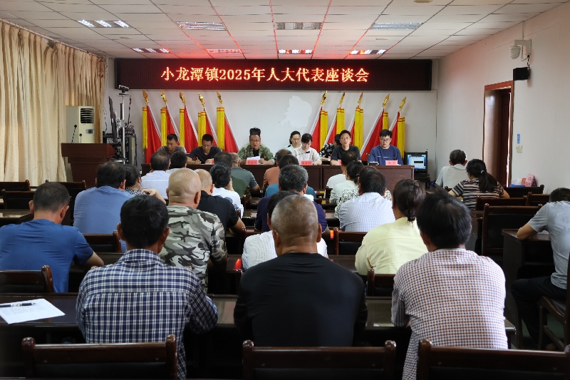 2镇人大主席团组织召开代表座谈会.jpg