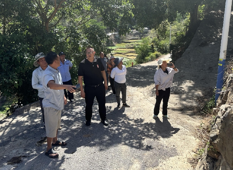 1人大代表专题调研林下经济发展路径.jpg