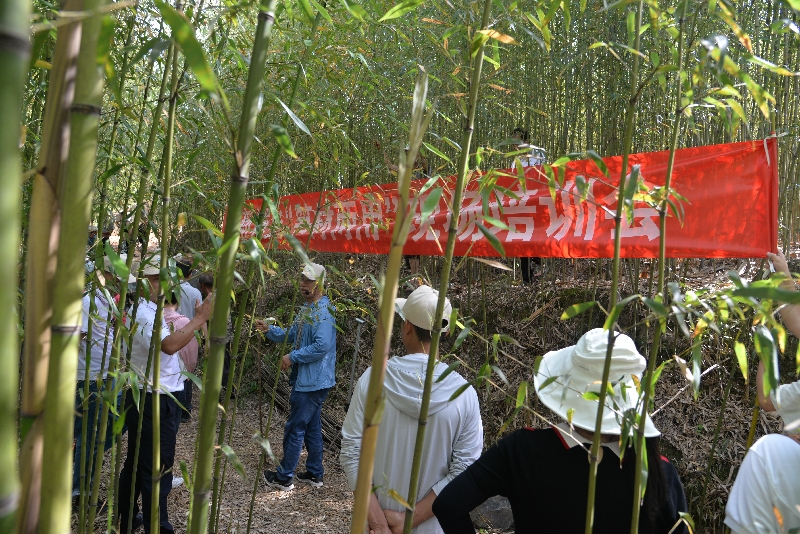 1新城乡组织人大代表参加“笋材两用”现场培训会.jpg