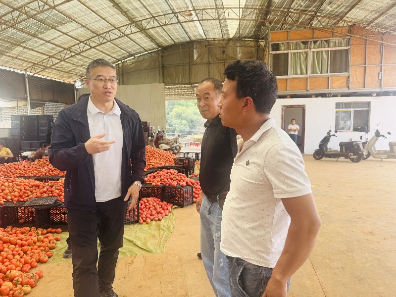 2调研民族地区产业发展情况.jpg