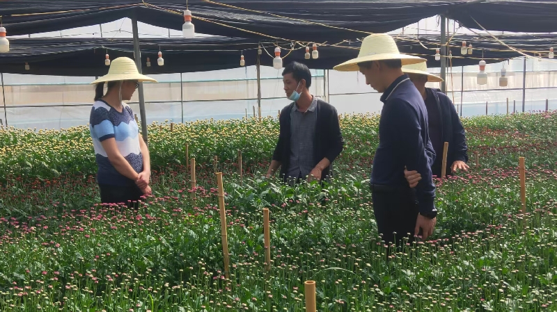 1刀忠强现场传授花卉种植技术.jpg