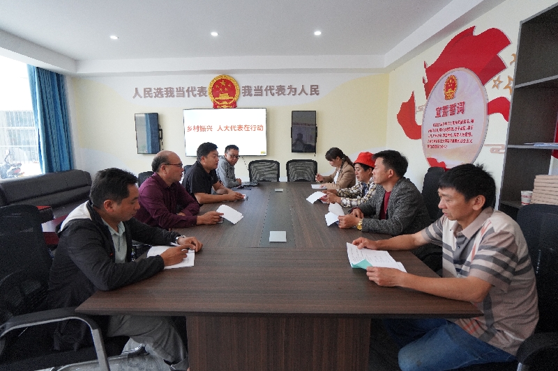 1开展“乡村振兴 人大代表在行动”活动.jpg